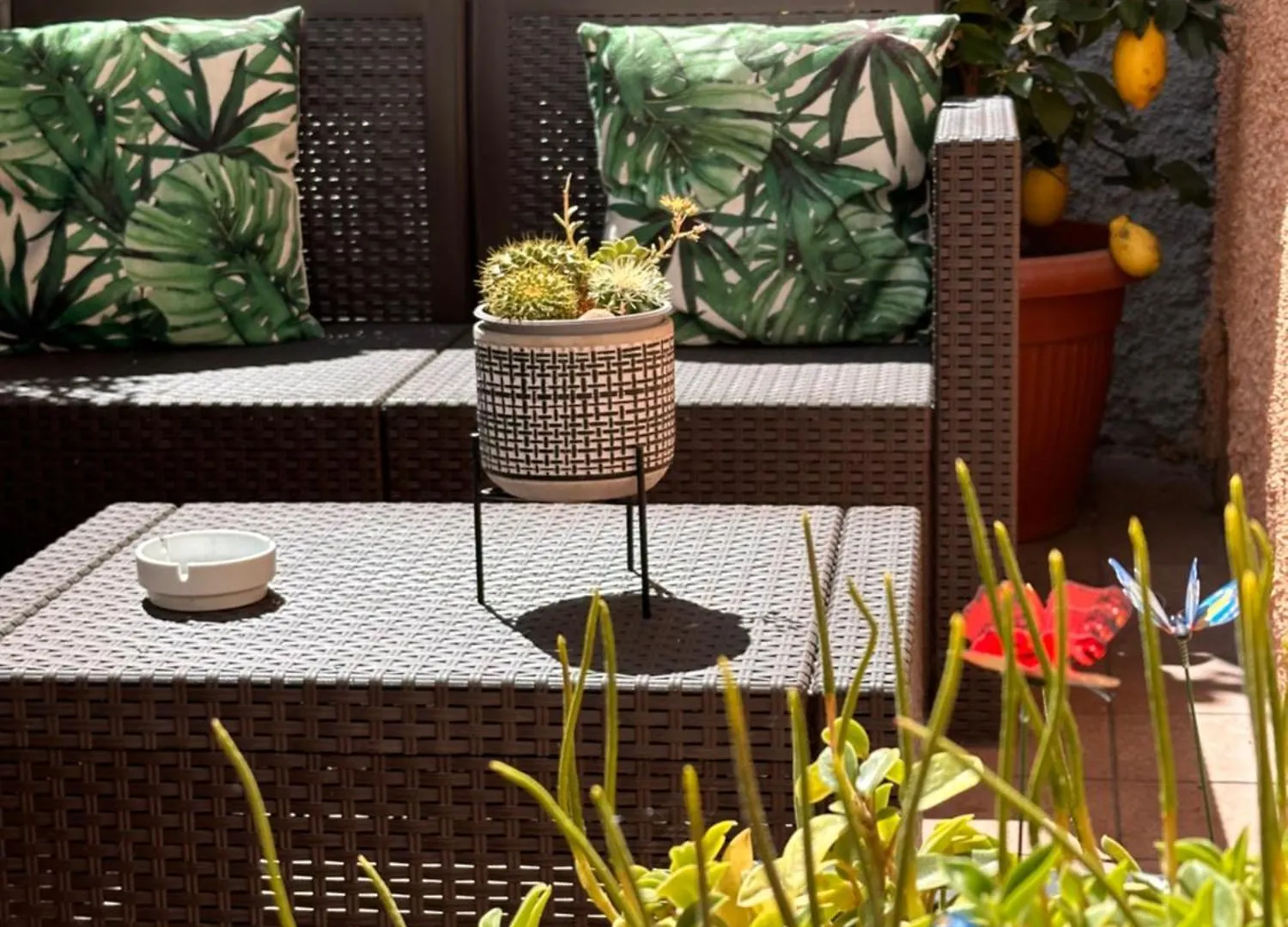Guest house Camere Chicca Sanremo